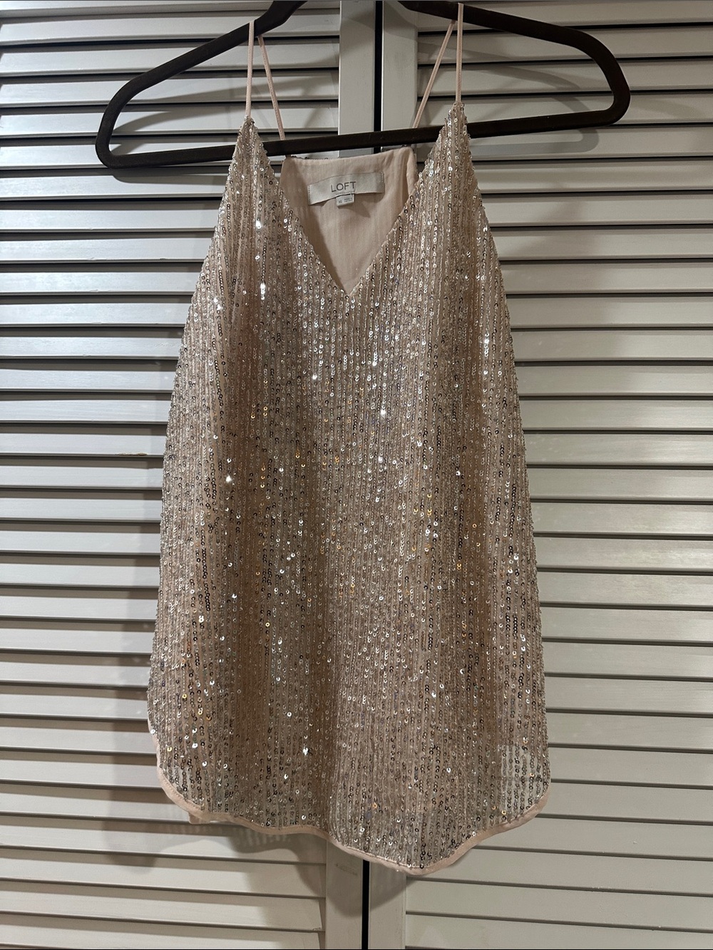 LOFT Sequin Camisole in Champagne